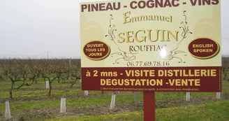 Domaine Seguin Emmanuel