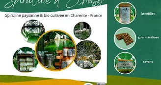 Spiruline du Domaine d'Echoisy