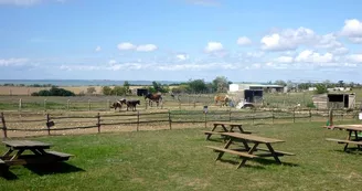 Ferme pédagogique - L'Autruche de Laurette