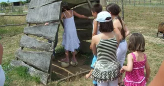 Ferme pédagogique - L'Autruche de Laurette