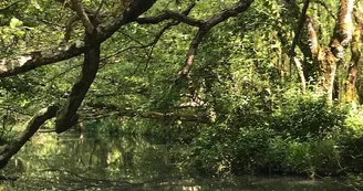 Aire de loisirs du Moulin du Sap