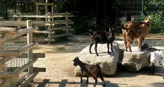 Parc animalier Charles-Edouard Beltrémieux