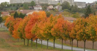 La Madriguera