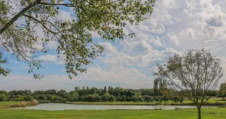 Aire de pique-nique du lac des Rouches