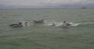 Boyard Croisière : Fort Boyard à la Voile