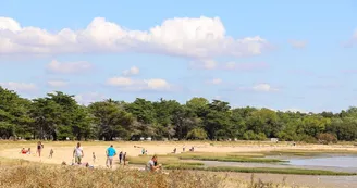 Plage aux coquillages (ou Anse du Saillant)