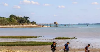 Plage aux coquillages (ou Anse du Saillant)