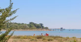 Plage aux coquillages (ou Anse du Saillant)