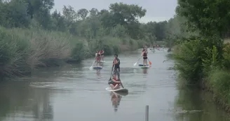 Stand Up Paddle : Exploration du Marais de Soumard