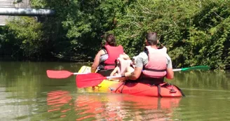 Antioche Kayak : Balade verte dans le marais Rochefortais