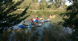 Antioche Kayak : Balade verte dans le marais Rochefortais