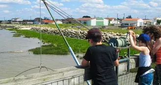 Écomusée de la Presqu'île - Les Cabanes de l'Estuaire