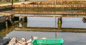 Écomusée de la Presqu'île - Les Cabanes de l'Estuaire