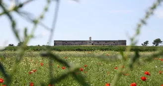 Fort de l'Île Madame - Les Cabanes de l'Estuaire