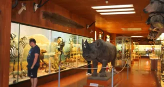 Musée Africain