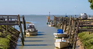 Port de Talmont-sur-Gironde