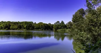 Parcours d'orientation vert - Le Lac de Saint-Palais