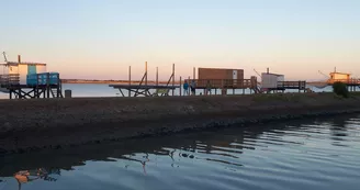 Port de Meschers-sur-Gironde