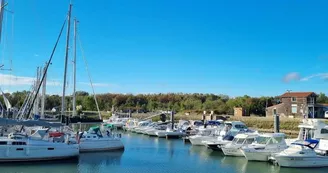 Port de Meschers-sur-Gironde