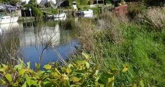 Camping L'Île aux Loisirs