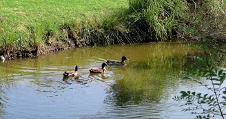 Camping Le Val Vert