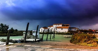 Point de vue - Le Port de Chatressac