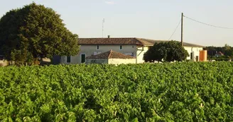 Domaine Imbert