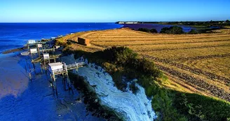 Point de vue - La Conche du Pilou