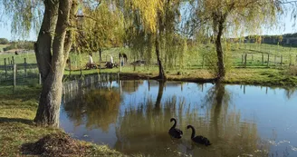 Parc animalier de l'élévage du ferron