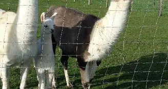 Parc animalier de l'élévage du ferron