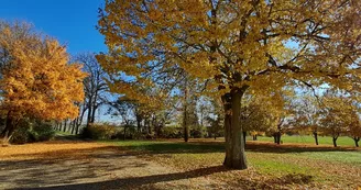 Le Grand Courdeault