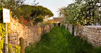 Les Vignes de la Chapelle **** - The Originals Relais