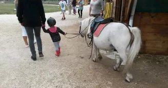 Poney Club "Le Petit Carrousel"