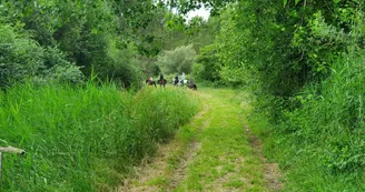 Espace Équestre Marais de Bréjat