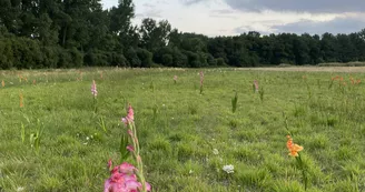 Espace Équestre Marais de Bréjat