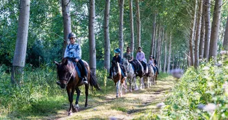 Espace Équestre Marais de Bréjat