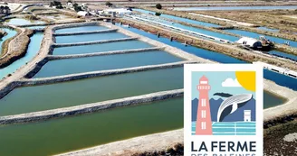 Plantes des marais par La Ferme des Baleines