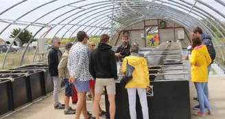 Plantes des marais par La Ferme des Baleines