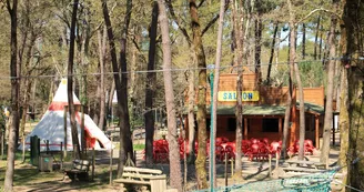 Parc Indian Forest