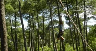 Parc Aventure La Palmyre