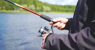 Etang des Colverts