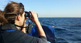 Journée découverte du littoral, des îles au Fort Boyard - Kelone