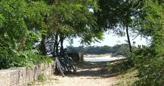 Cyclo-Surf à Sainte-Marie-de-Ré