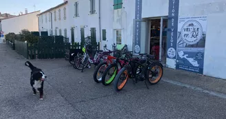 Louer votre vélo avec Vel'ile en Ré