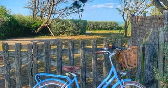 Beach Bikes - Saint-Martin Le Port