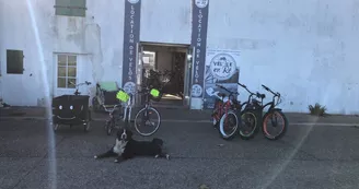 Réparation de vélo par Vel'île en Ré