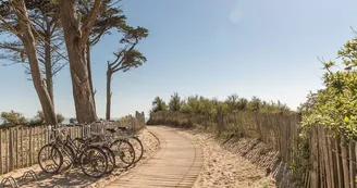 Location vélo de l'Océan