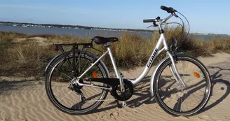 Tout à Vélo au Bois Plage