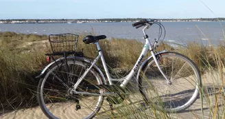 Tout à Vélo au Bois Plage