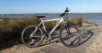 Tout à Vélo au Bois Plage